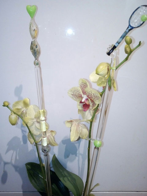 Orchideenstäbe 05.05.2018 