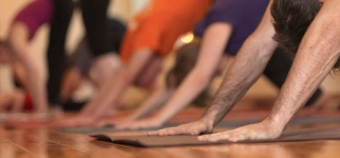 Yoga Einsteiger Unterricht