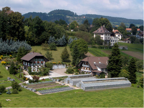 Weiermatt in Kirchdorf