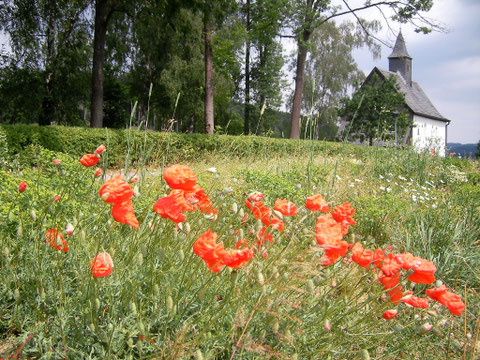 Sommerblühen am Kapellchen (C) Martin Steilmann