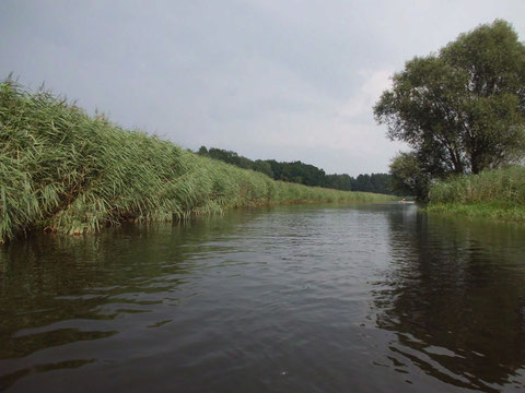 Uecker kurz vor Torgelow