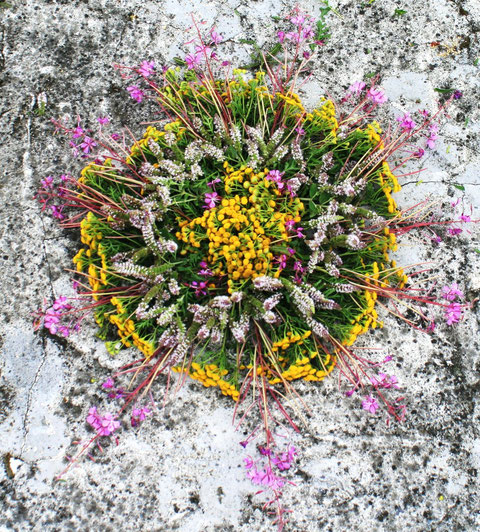 © erdengoldKUNSTwerk Minimal Landart Mandala, Foto Nathalie Arun