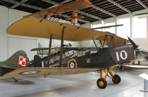 Tiger Moth T-8209-1