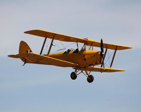 Tiger Moth DF112-1