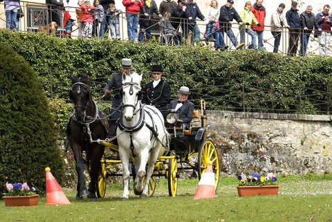 Il tiro a due di Christian Mettler in piena azione, seguito da un pubblico attento, durante il percorso ad ostacoli all’interno del parco del castello di La Sarraz.