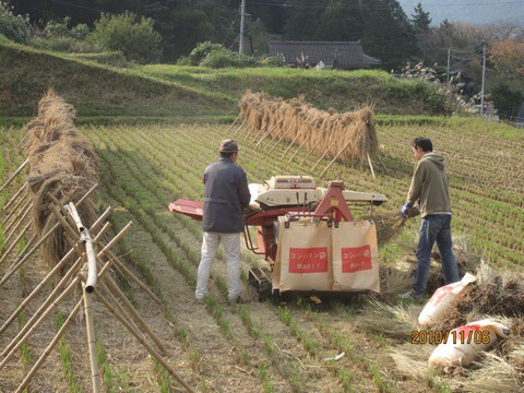 助っ人に駆けつけてくれたSさん(右)、感謝! ( photo by amber )