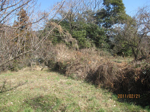 前、 土地の境目を綺麗にしマス。