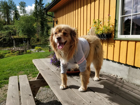 Thyra in ihrem schicken Sweetshirt