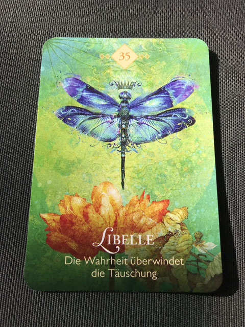 Das Orakel der Krafttiere von Colette Baron-Reid auf Phönixzauber