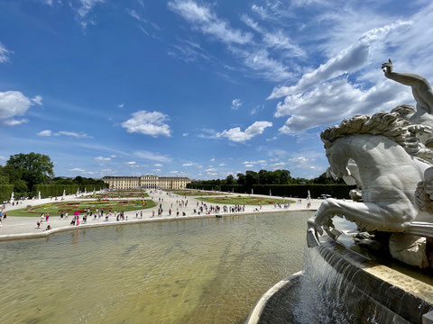 Blick auf die großen Parkanlagen des Schloss Schönbrunn