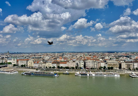 VIVA TWO in Budapest