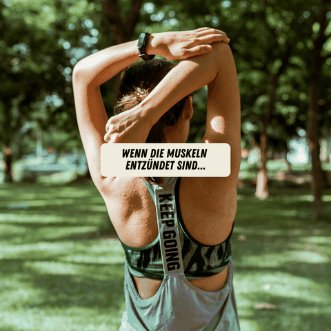 Muskel entzündungen