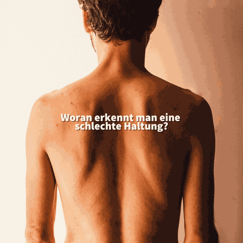 Haltung Schulung Basel Santewell