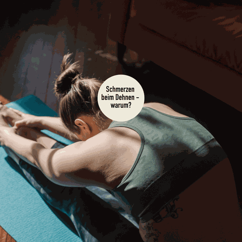 Dehnungen Muskel