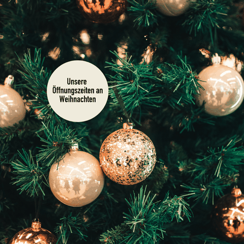 Weihnachten 2024 Santewell