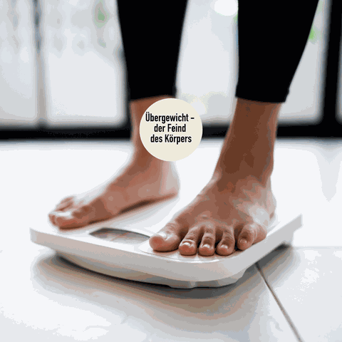 Übergewicht schlecht warum?