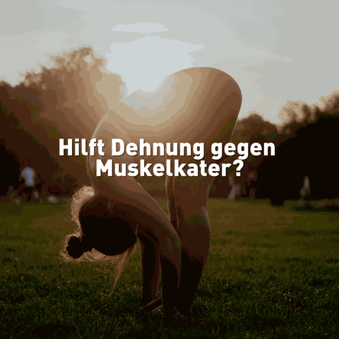Dehnung und Muskelkater, Hilft dehnen bei Muskelkater