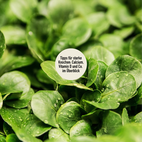 gesunde Ernährung zum Gewicht verlieren