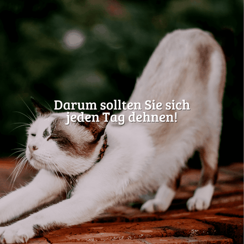 Dehnen bei Santewell