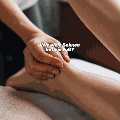 Fuß Gymnastik Basel, Fuß Training Basel