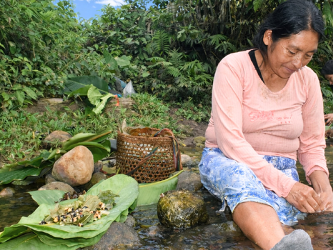 El estudio alertó el reemplazo de alimentos del bosque por productos procesados. Foto: IIAP