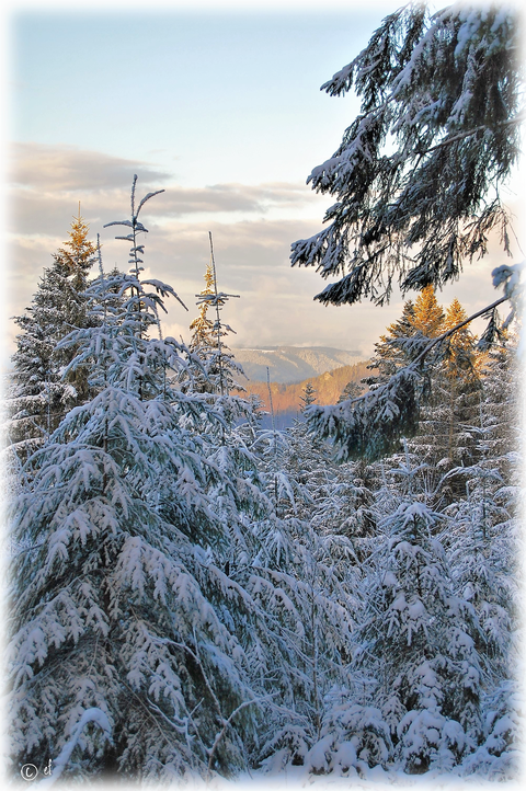 Winterzauber