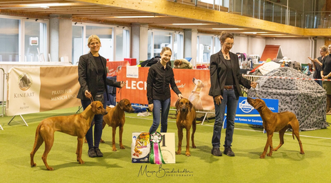 Mit Jay-La, Ivie, Chinua und Bailey haben wir die Zuchtgruppe gewonnen!