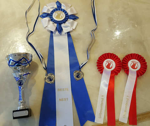 Op de wereld show 27-1-2019 gewonnen. Beste Nest. En uitmuntend 1
