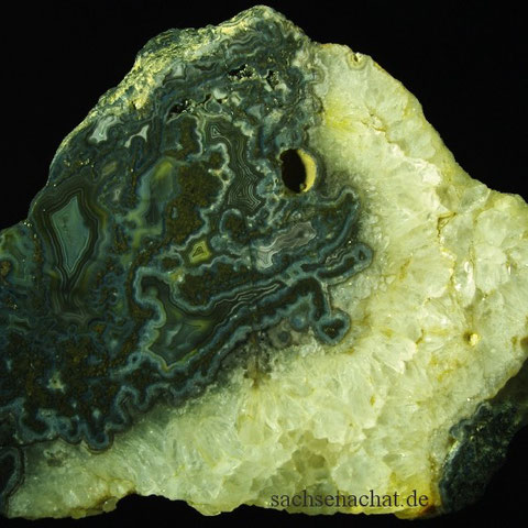7,3x6 cm