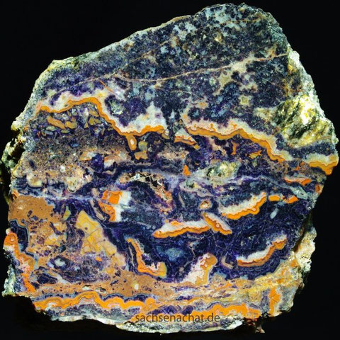 7 x 6 cm