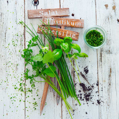 Gartenkräuter, Udo Einenkel, Foodfotograf