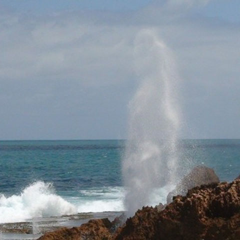 Blowholes