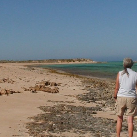 Francois Peron N.P
