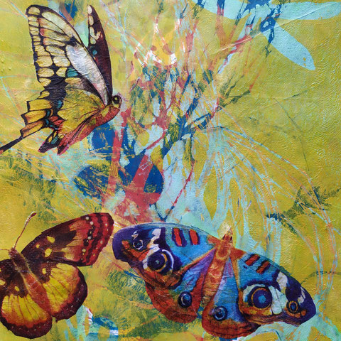 1269 Schmetterlingsparadies, Acryldruck auf Papier, 30x21 cm