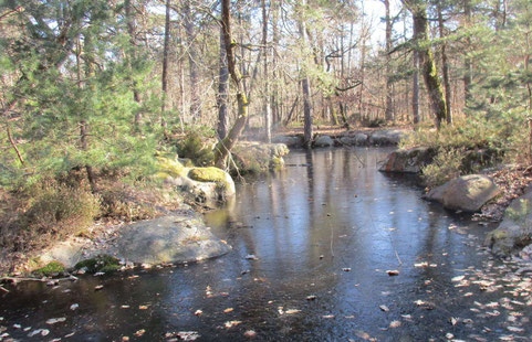 Plan d'eau gelé, pas de patin à glace pour les glissades