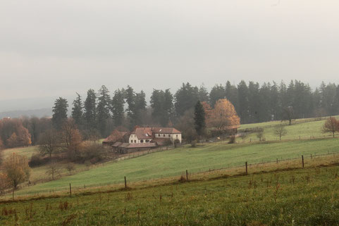 wieder sind wir oberhalb des Metzlinschwander Hofes (G. Franke, 27.11.16)