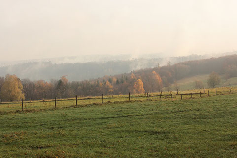 Morgensonne oberhalb des Metzlinschwander Hofes - Blick über das Albtals (G. Franke, 27.11.16)