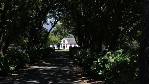 Boschendal, one of SA's oldest wine estates