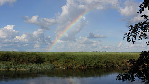 Rainbow over the panhandle of the delta