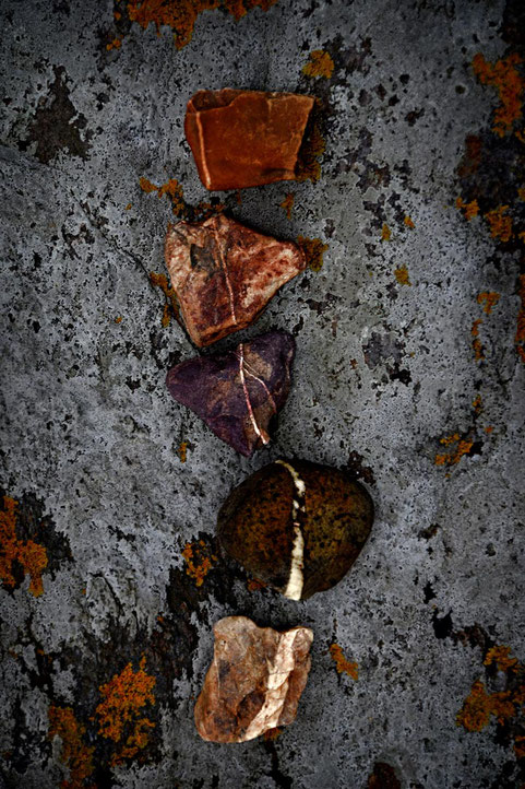 Beige, orange et rouge  Dansant sur le rocher gris  Du violet, du brun