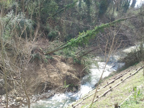 Il letto del fiume si è notevolmente ristretto
