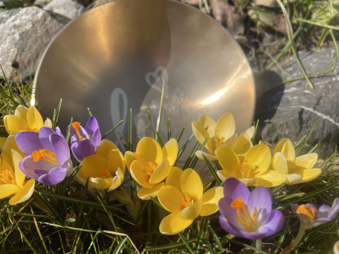 Klangschale im Frühling