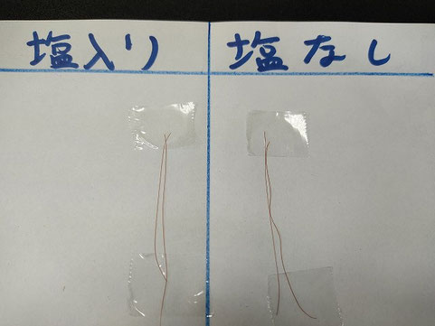 ヘナに塩