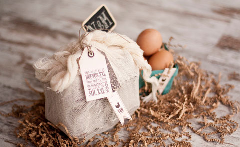 Egg_pack de Projec Party studio