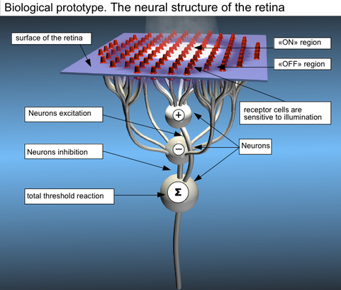 Google "neurone"