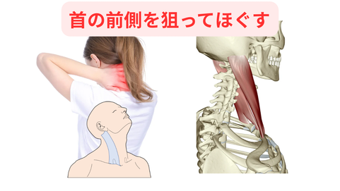 首の前にある筋肉を狙って行きます