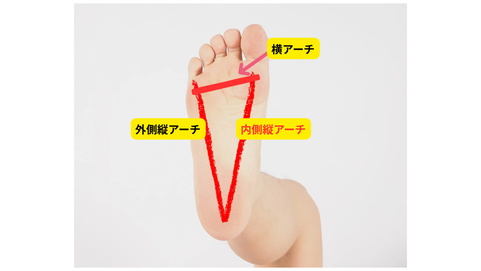 足裏の動きが足の指の動きにも直結します!