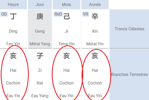 exemple dans une carte Bazi auto-punition