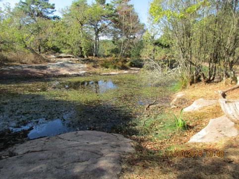 Malgré une sécheresse sur la région, il reste encore de l'eau