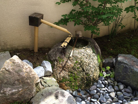 茶えずりのお座敷から庭を眺める